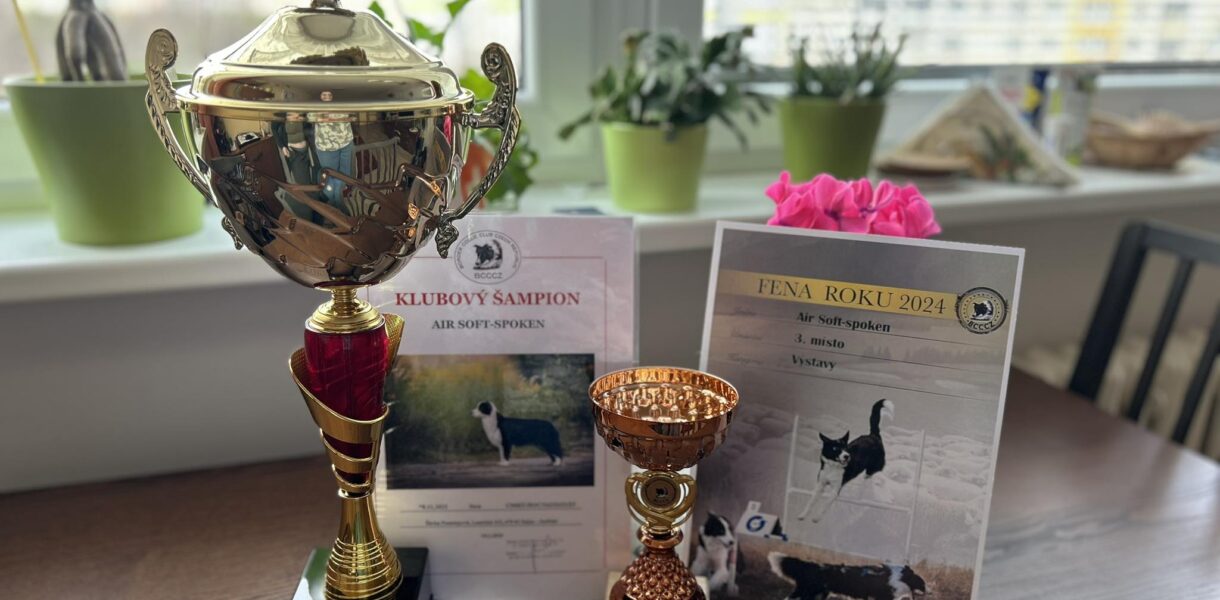 pohár Klubivý šampion BCCCZ a Fena roku výstavy 3. místo
