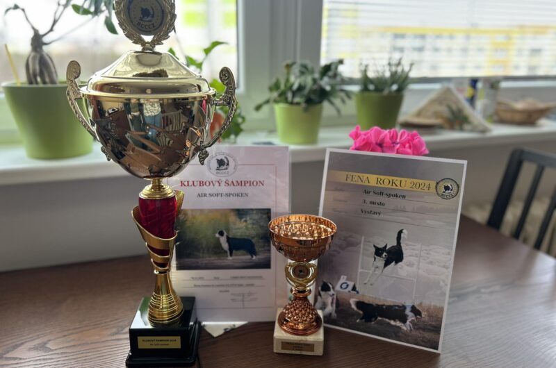 pohár Klubivý šampion BCCCZ a Fena roku výstavy 3. místo