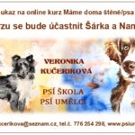 Certifikát o účasti v kurzu Máme doma štěně/psa